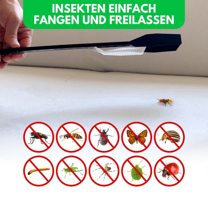 Catchy Batchy Insektenfänger